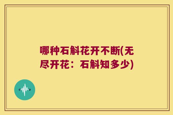 哪种石斛花开不断(无尽开花：石斛知多少)