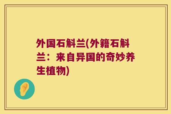 外国石斛兰(外籍石斛兰：来自异国的奇妙养生植物)