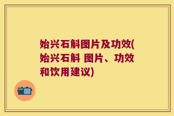 始兴石斛图片及功效(始兴石斛 图片、功效和饮用建议)