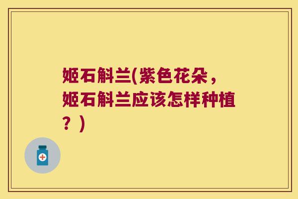 姬石斛兰(紫色花朵，姬石斛兰应该怎样种植？)