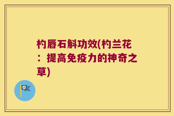 杓唇石斛功效(杓兰花:提高力的神奇之草) 杓唇石斛功效(杓兰花:提高力的神奇之草)