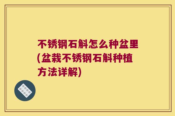 不锈钢石斛怎么种盆里(盆栽不锈钢石斛种植方法详解)