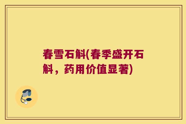 春雪石斛(春季盛开石斛，药用价值显著)