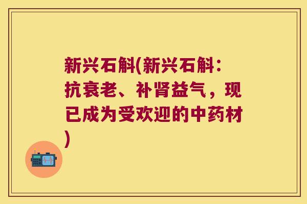 新兴石斛(新兴石斛:抗、补益气,现已成为受欢迎的材) 新兴石斛(新兴石斛:抗、补益气,现已成为受欢迎的材)