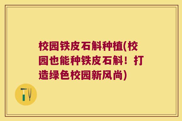 校园铁皮石斛种植(校园也能种铁皮石斛！打造绿色校园新风尚)