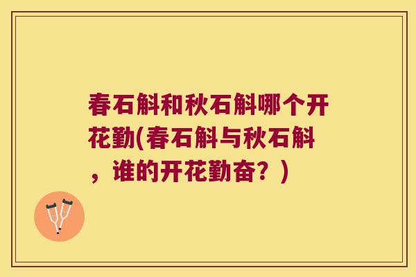 春石斛和秋石斛哪个开花勤(春石斛与秋石斛，谁的开花勤奋？)