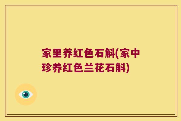 家里养红色石斛(家中珍养红色兰花石斛)