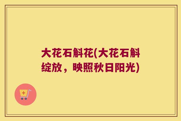 大花石斛花(大花石斛绽放，映照秋日阳光)