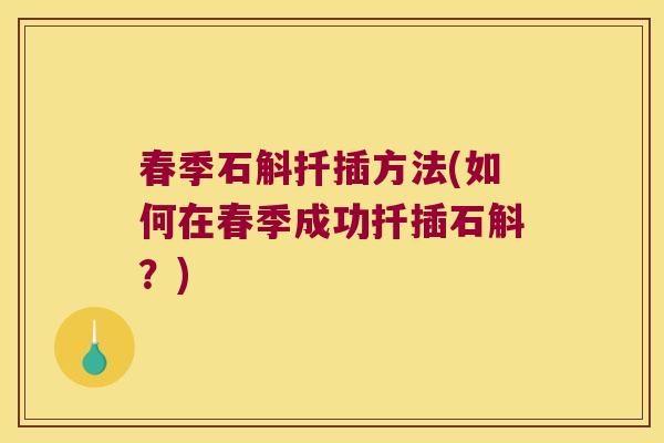 春季石斛扦插方法(如何在春季成功扦插石斛?) 春季石斛扦插方法(如何在春季成功扦插石斛?)