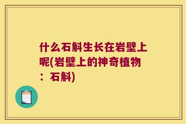 什么石斛生长在岩壁上呢(岩壁上的神奇植物：石斛)