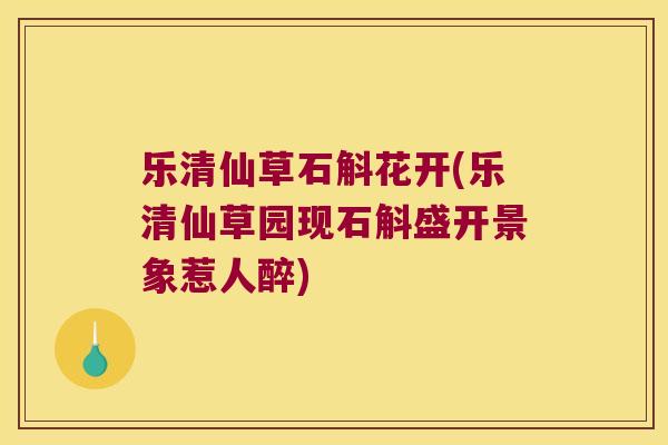 乐清仙草石斛花开(乐清仙草园现石斛盛开景象惹人醉)