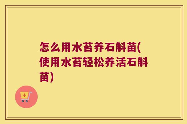 怎么用水苔养石斛苗(使用水苔轻松养活石斛苗)