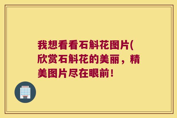 我想看看石斛花图片(欣赏石斛花的美丽，精美图片尽在眼前！