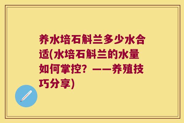 养水培石斛兰多少水合适(水培石斛兰的水量如何掌控？——养殖技巧分享)