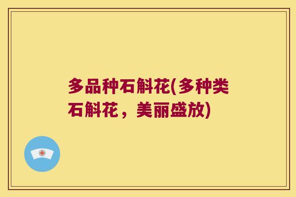 多品种石斛花(多种类石斛花,美丽盛放) 多品种石斛花(多种类石斛花,美丽盛放)