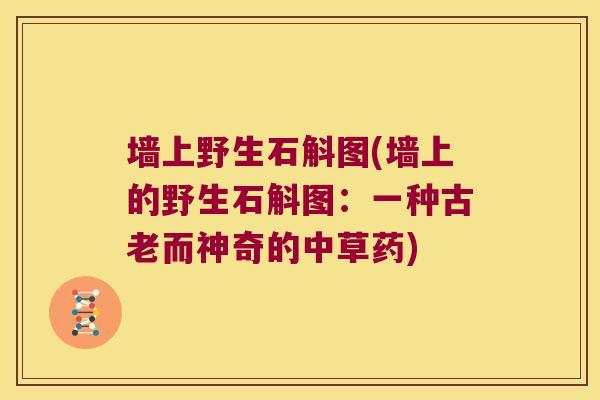 墙上野生石斛图(墙上的野生石斛图：一种古老而神奇的中草药)