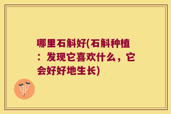 哪里石斛好(石斛种植:发现它喜欢什么,它会好好地生长) 哪里石斛好(石斛种植:发现它喜欢什么,它会好好地生长)