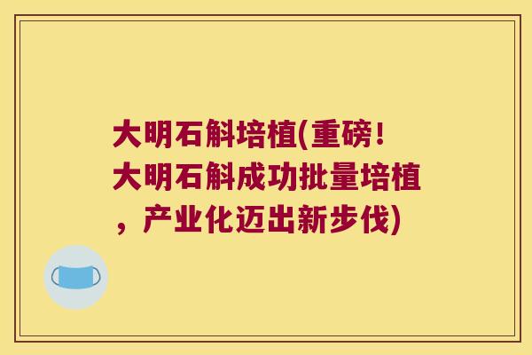 大明石斛培植(重磅！大明石斛成功批量培植，产业化迈出新步伐)