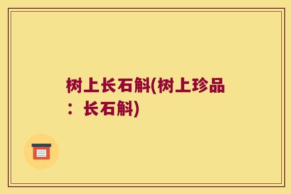 树上长石斛(树上珍品：长石斛)