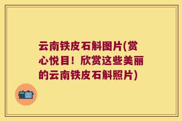 云南铁皮石斛图片(赏心悦目！欣赏这些美丽的云南铁皮石斛照片)