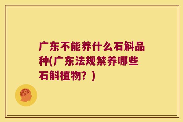 广东不能养什么石斛品种(广东法规禁养哪些石斛植物？)