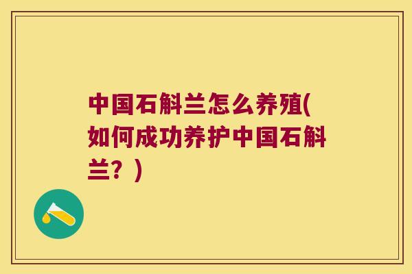 中国石斛兰怎么养殖(如何成功养护中国石斛兰？)