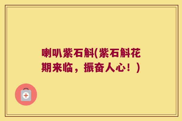 喇叭紫石斛(紫石斛花期来临，振奋人心！)