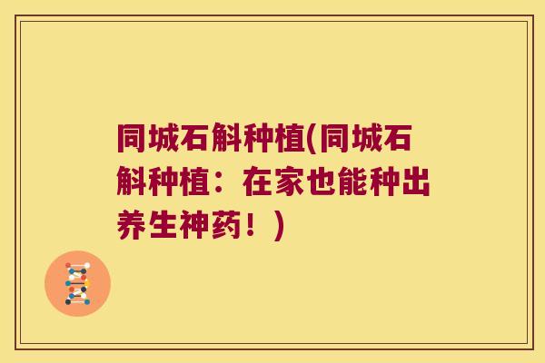同城石斛种植(同城石斛种植：在家也能种出养生神药！)