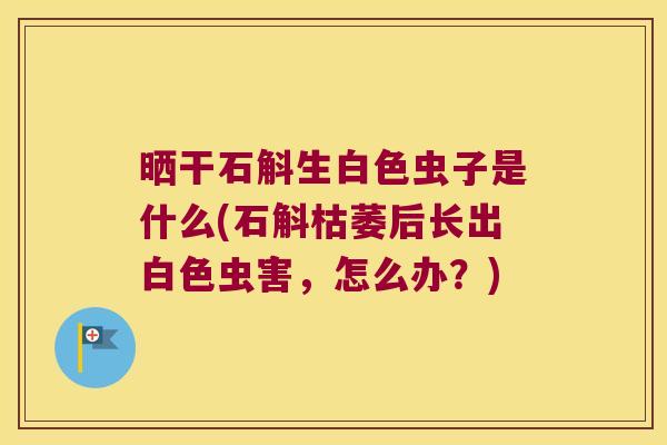 晒干石斛生白色虫子是什么(石斛枯萎后长出白色虫害，怎么办？)