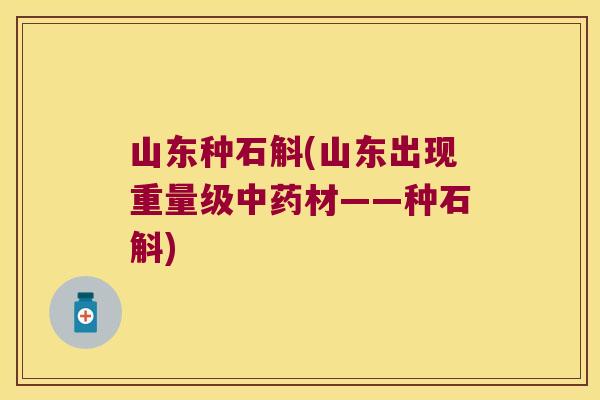 山东种石斛(山东出现重量级材——种石斛) 山东种石斛(山东出现重量级材——种石斛)