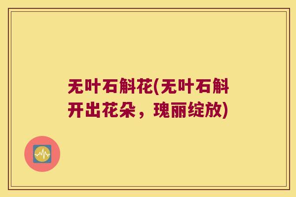 无叶石斛花(无叶石斛开出花朵，瑰丽绽放)