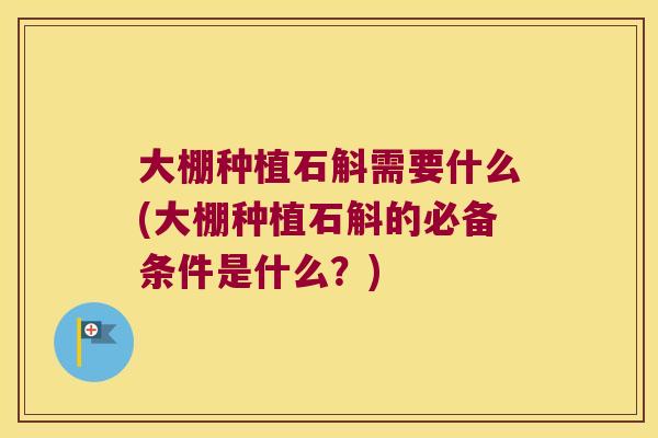 大棚种植石斛需要什么(大棚种植石斛的必备条件是什么？)