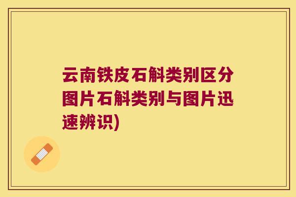 云南铁皮石斛类别区分图片石斛类别与图片迅速辨识)