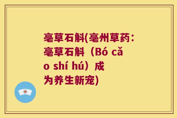 亳草石斛(亳州草药：亳草石斛（Bó cǎo shí hú）成为养生新宠)