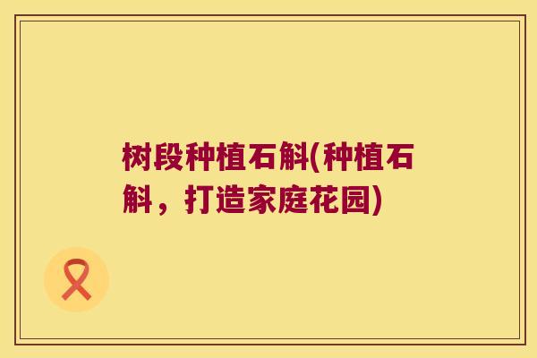 树段种植石斛(种植石斛,打造家庭花园) 树段种植石斛(种植石斛,打造家庭花园)
