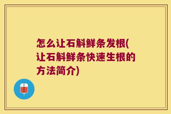 怎么让石斛鲜条发根(让石斛鲜条快速生根的方法简介) 怎么让石斛鲜条发根(让石斛鲜条快速生根的方法简介)