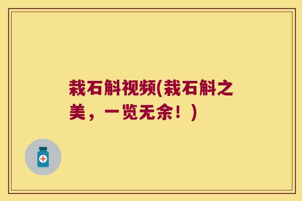 栽石斛视频(栽石斛之美，一览无余！)