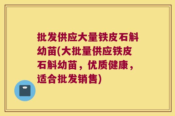 批发供应大量铁皮石斛幼苗(大批量供应铁皮石斛幼苗,优质健康,适合批发销售) 批发供应大量铁皮石斛幼苗(大批量供应铁皮石斛幼苗,优质健康,适合批发销售)
