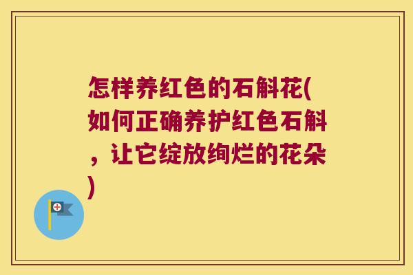 怎样养红色的石斛花(如何正确养护红色石斛，让它绽放绚烂的花朵)