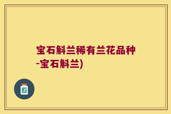 宝石斛兰稀有兰花品种-宝石斛兰)