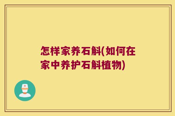 怎样家养石斛(如何在家中养护石斛植物) 怎样家养石斛(如何在家中养护石斛植物)