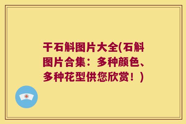 干石斛图片大全(石斛图片合集：多种颜色、多种花型供您欣赏！)