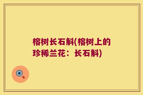 榕树长石斛(榕树上的珍稀兰花：长石斛)