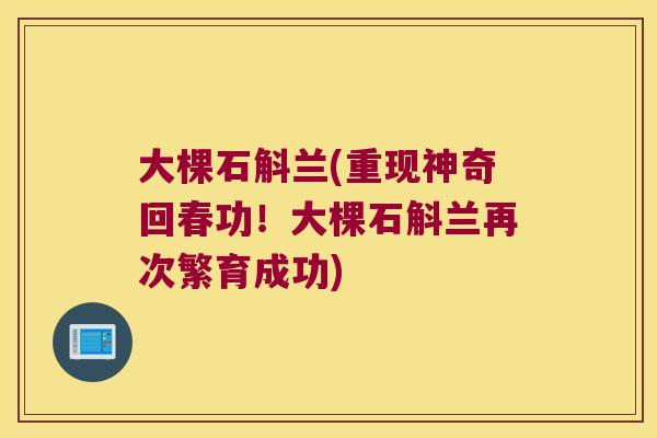 大棵石斛兰(重现神奇回春功！大棵石斛兰再次繁育成功)