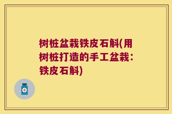 树桩盆栽铁皮石斛(用树桩打造的手工盆栽：铁皮石斛)