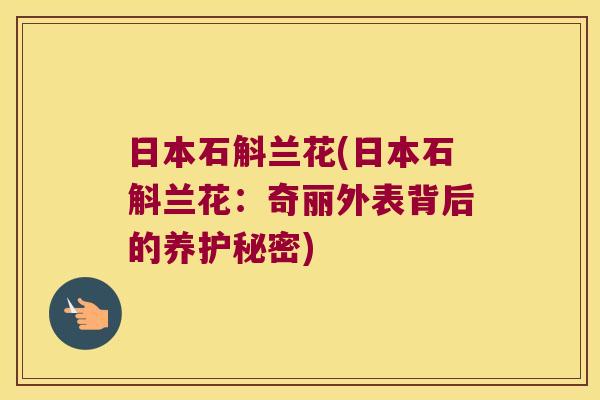 日本石斛兰花(日本石斛兰花：奇丽外表背后的养护秘密)