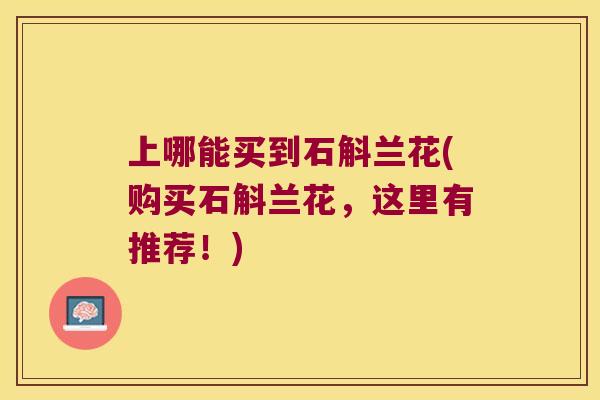 上哪能买到石斛兰花(购买石斛兰花，这里有推荐！)