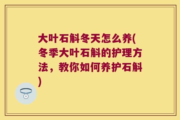 大叶石斛冬天怎么养(冬季大叶石斛的护理方法，教你如何养护石斛)