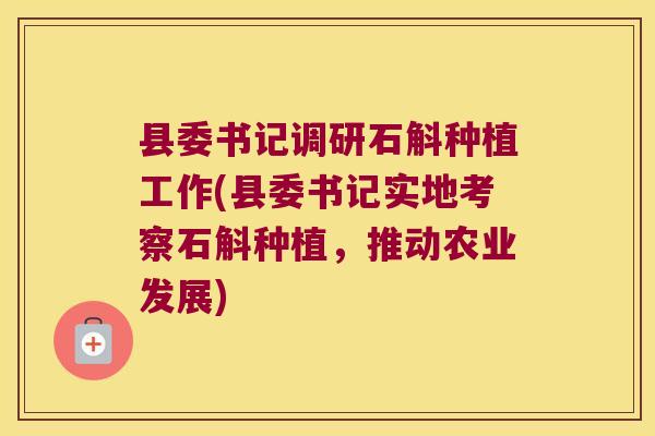县委书记调研石斛种植工作(县委书记实地考察石斛种植，推动农业发展)