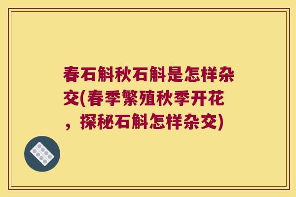 春石斛秋石斛是怎样杂交(春季繁殖秋季开花,探秘石斛怎样杂交) 春石斛秋石斛是怎样杂交(春季繁殖秋季开花,探秘石斛怎样杂交)